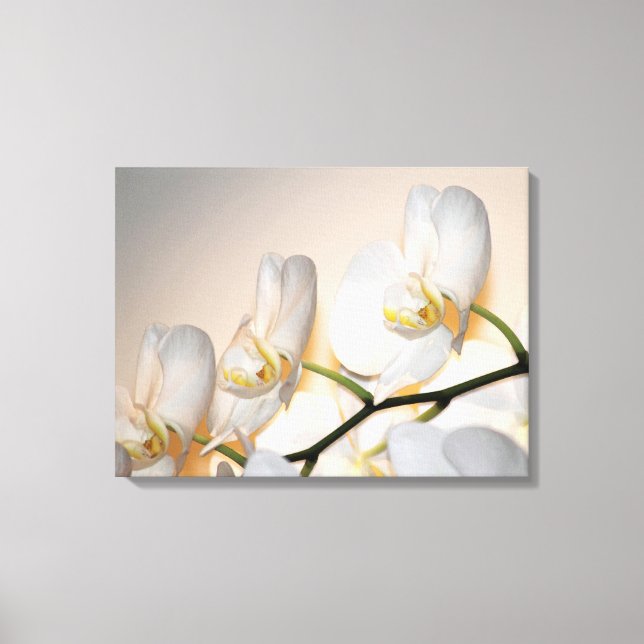 Phalaenopsis Sogo Yukidian Orchid Wrapped Canvas Print (Front)