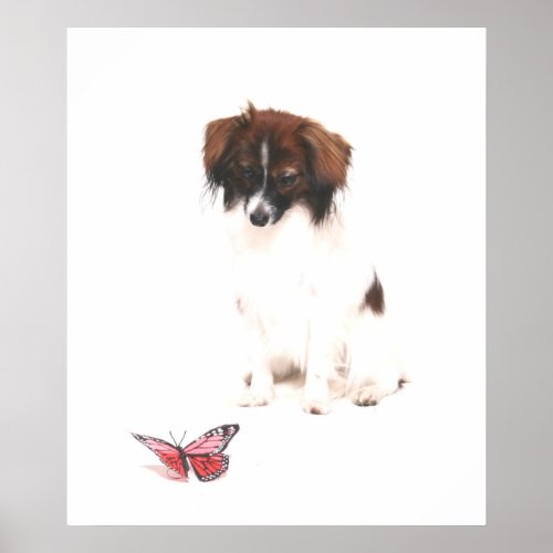 Phalene Papillon with Butterfly Poster