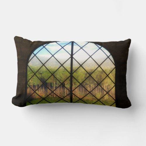 Phantastes Borders of Fairy Land Pillow