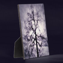 Phantastes Photo Plaque
