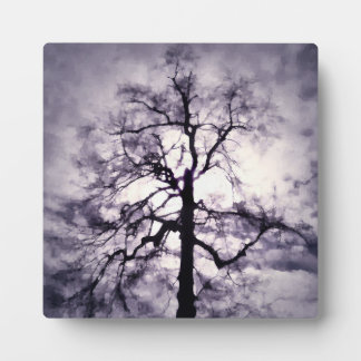 Phantastes Photo Plaque
