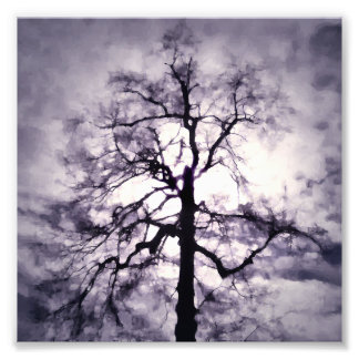 Phantastes Photo Print