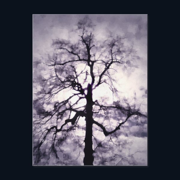 Phantastes Postcard Phantastes Postcard