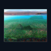 Phantastes: The Island Cottage Postcard