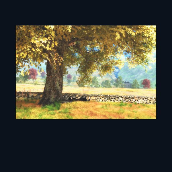 Phantastes: Under the Beech Tree Canvas Print