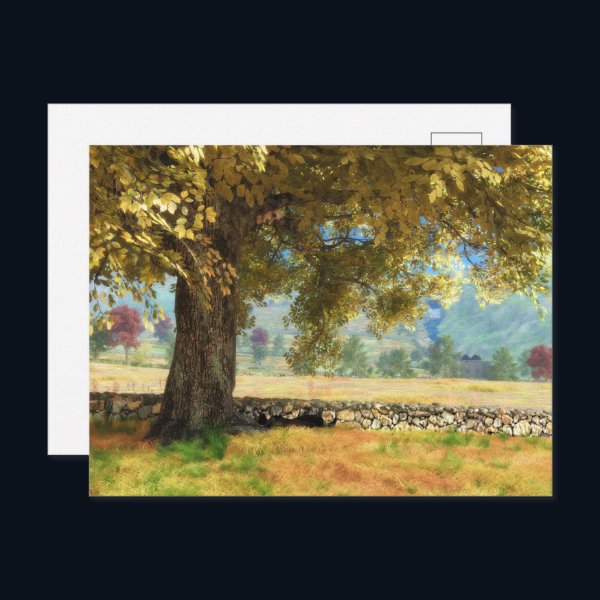 Phantastes: Under the Beech Tree Postcard