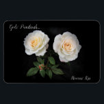 Phantastic  Gods’ Roses Magnet HK<br><div class="desc">Beautiful roses magnet. Part of the Phantastic Roses Magnets Series, Gods’ Paintbrush at work no doubt! Collect them all and buy some for rose loving friends and family member too. Wonderful and beautiful magnets to dress up your refrigerator, freezer, file cabinets or other items that will allow magnet attachments. Enjoy!...</div>