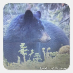 Phantom The Black Bear Square Sticker