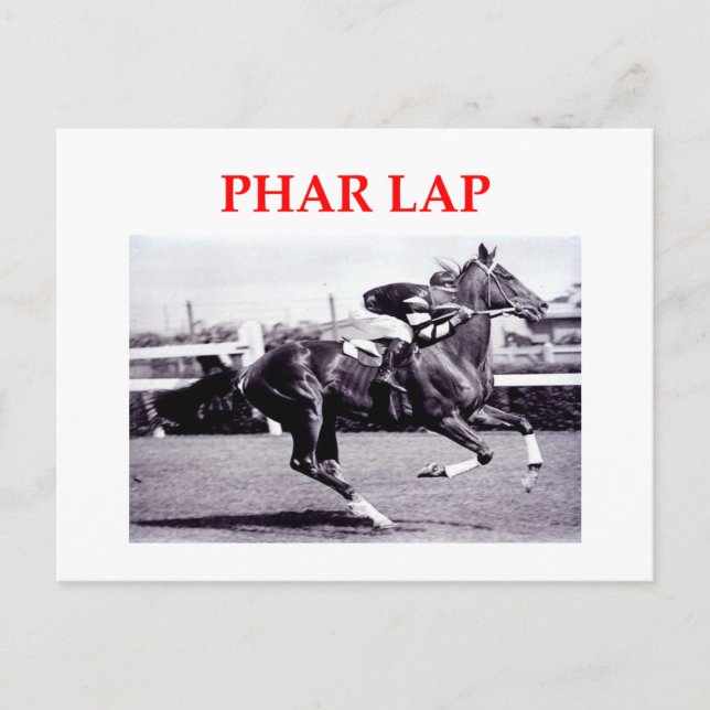 phar lap postcard (Front)