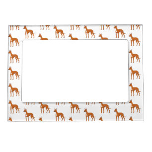 Pharaoh hound dog cartoon illustration magnetic frame