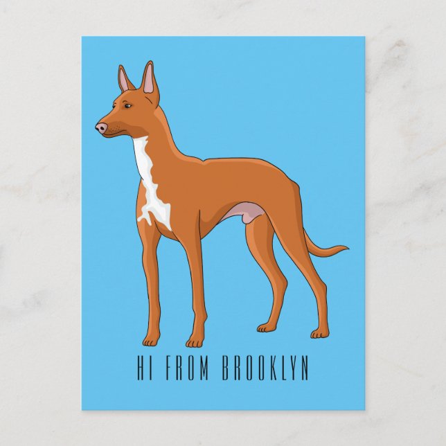Pharaoh hound dog cartoon illustration  postcard (Front)