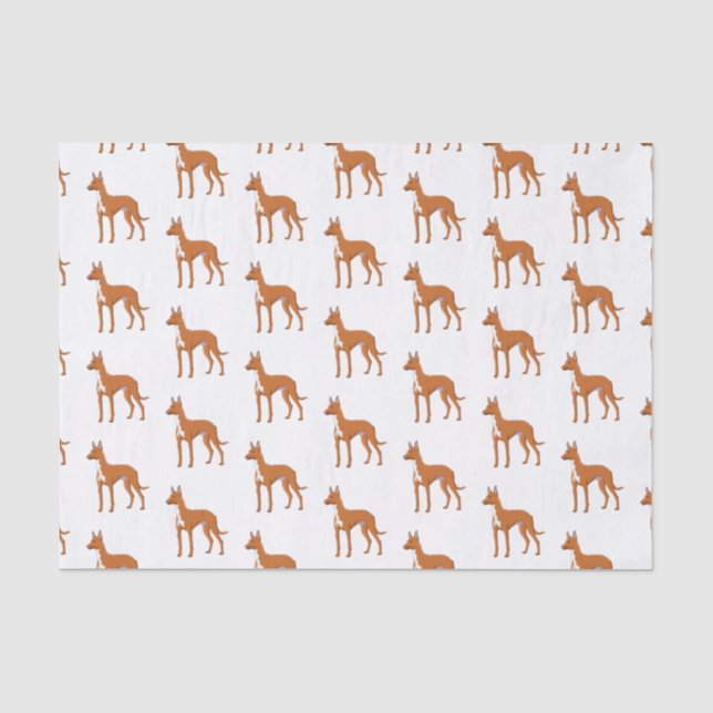 Pharaoh hound dog cartoon illustration  tissue paper (Front)