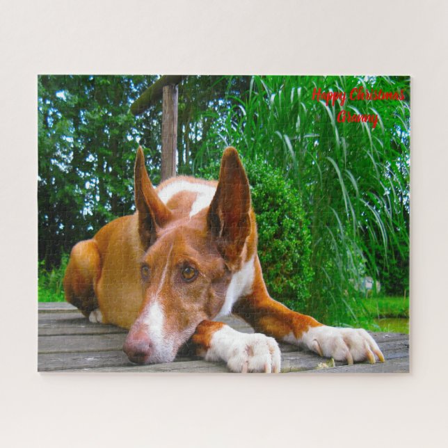 Pharaoh Hound Dog. Jigsaw Puzzle (Horizontal)