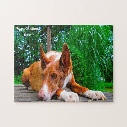 Pharaoh Hound Dog Jigsaw Puzzle