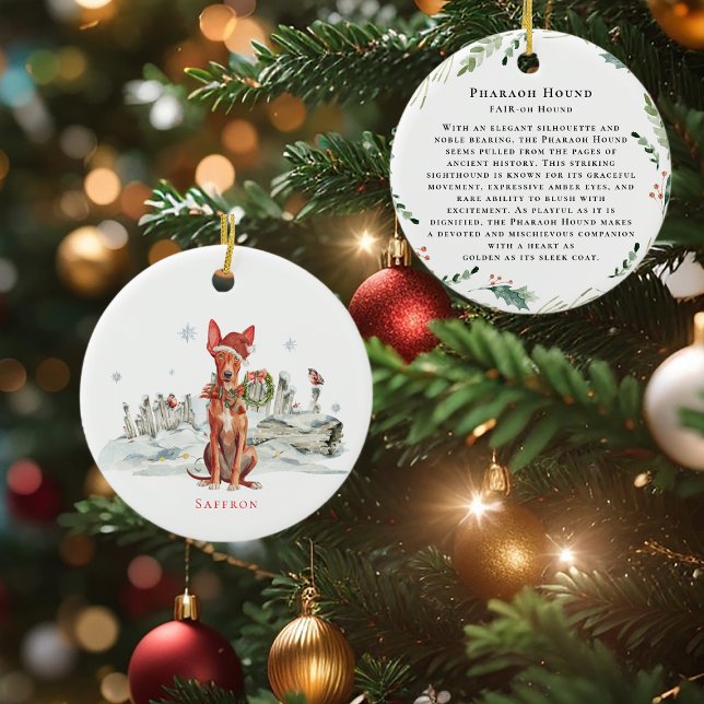 Pharaoh Hound Dog Watercolor Monogram Ceramic Ornament (Creator Uploaded)