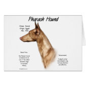 Pharaoh Hound History Design (Front Horizontal)