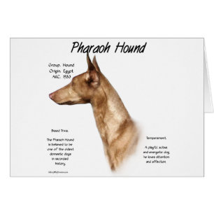 Pharaoh Hound History Design