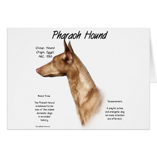 Pharaoh Hound History Design (Front Horizontal)