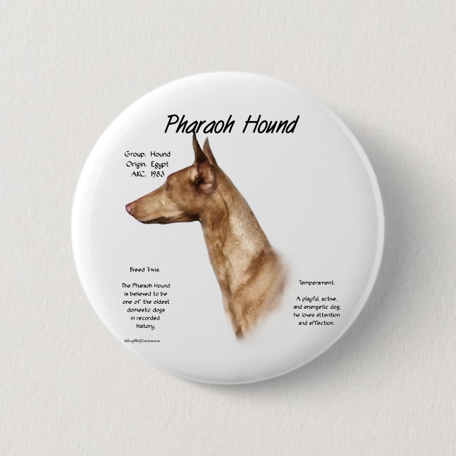 Pharaoh Hound History Design Pinback Button (Front)