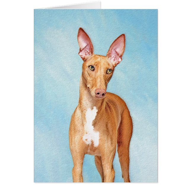 Pharaoh Hound Painting - Cute Original Dog Art Cards (Front)