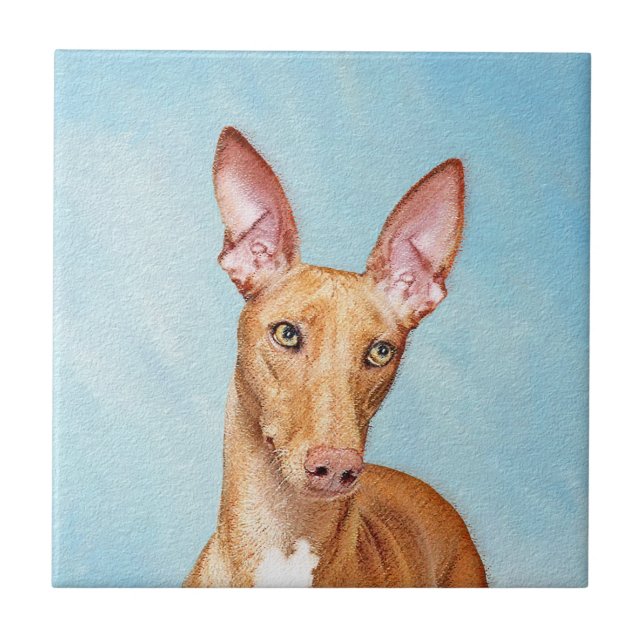 Pharaoh Hound Painting - Cute Original Dog Art Ceramic Tile (Front)