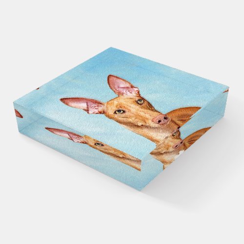 Pharaoh Hound Painting _ Cute Original Dog Art Paperweight