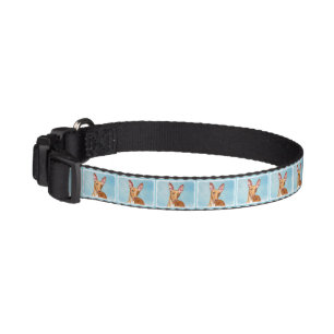 Pharaoh Hound Painting - Cute Original Dog Art Pet Collar