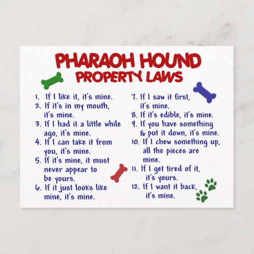 PHARAOH HOUND Property Laws 2 Postcard