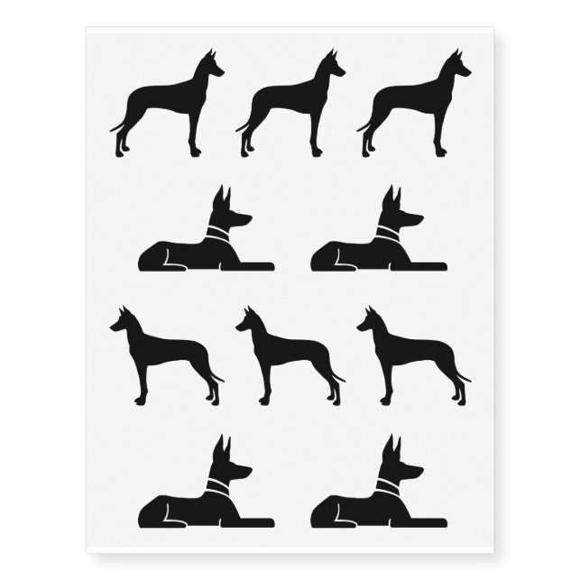 Pharaoh Hounds Temporary Tattoos (Front)