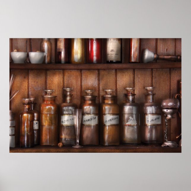 Pharmacist - In a Pharmacists Lab Poster (Front)