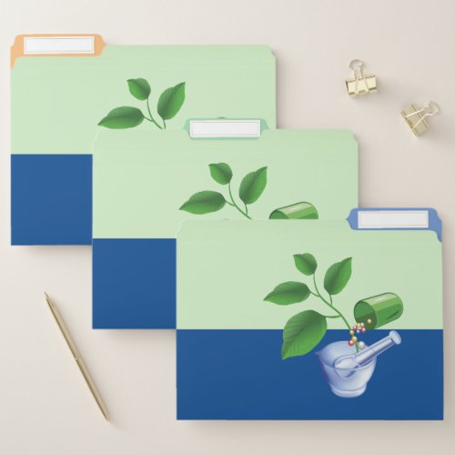 Pharmacy File Folder