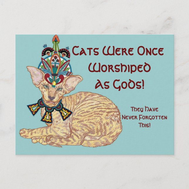 Pharoah Thutmau Postcard (Front)