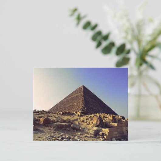 Pharoahs (Standing Front)