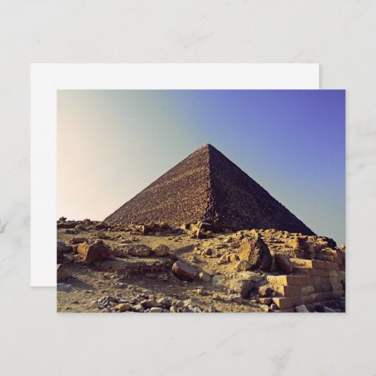 Pharoahs (Front/Back)