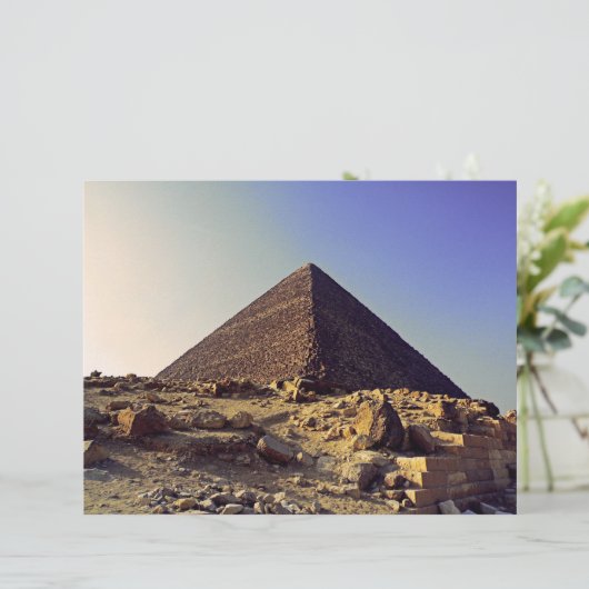 Pharoahs (Standing Front)