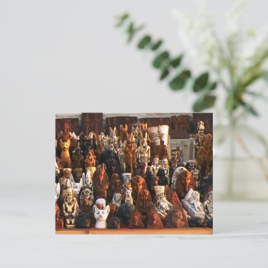 Pharoahs (Standing Front)