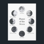 Phases of the Moon Lunar Cycle Postcard<br><div class="desc">Phases of the moon postcard. Complete with the phases of the moon watercolor illustrations and labels.</div>