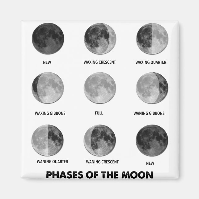 Phases of the Moon Magnet (Front)
