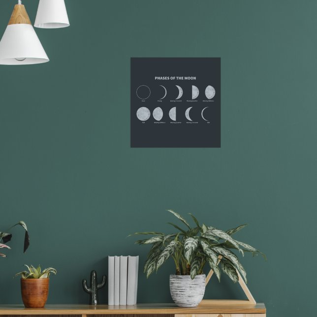 Phases of the Moon Poster | Zazzle
