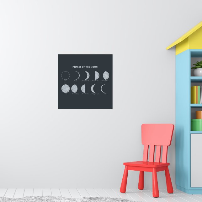 Phases of the Moon Poster | Zazzle