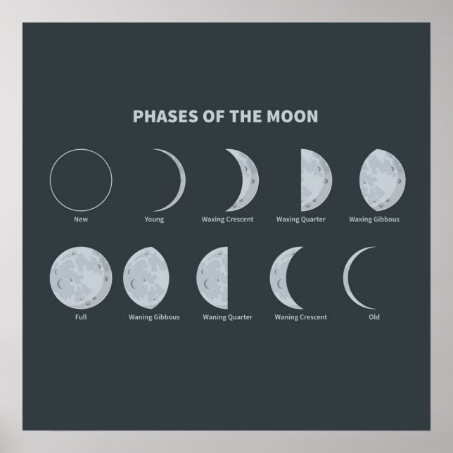 Phases of the Moon Poster (Front)