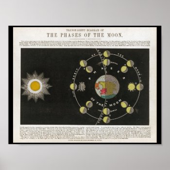 Phases Of The Moon Print by AcupunctureProducts at Zazzle