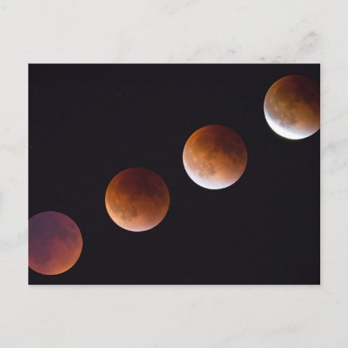 Phases of Total Lunar Eclipse  Seattle Postcard