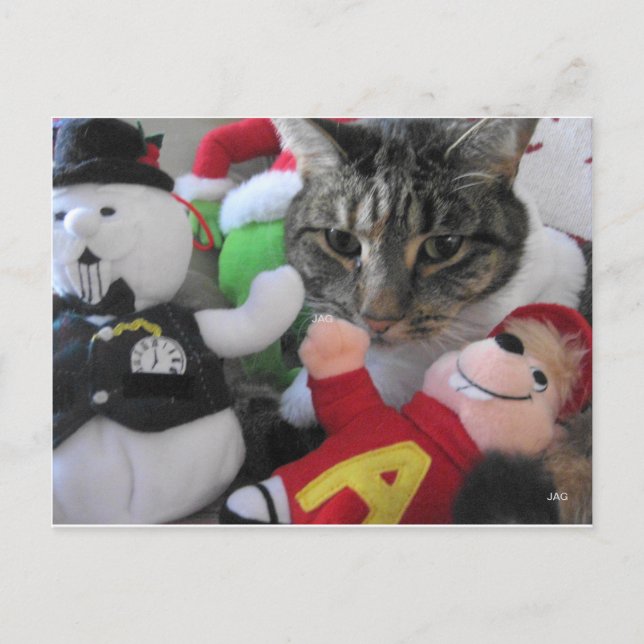 Phat Cat & Friends Holiday Postcard (Front)