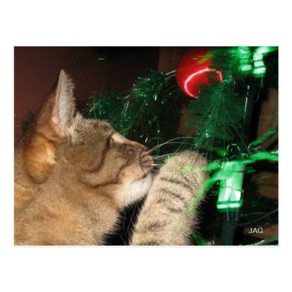 Phat Cat &amp; the Christmas Tree Postcard