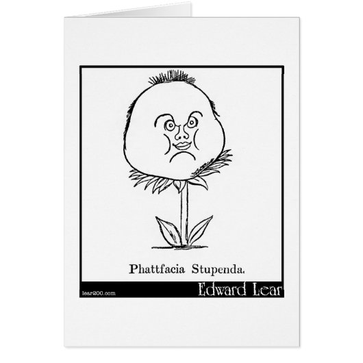 Phattfacia Stupenda. Cards (Front)