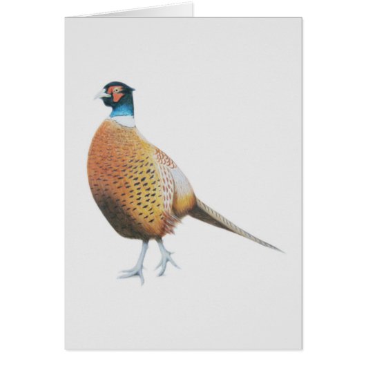Pheasant 2012 cards (Front)