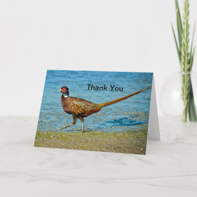 Pheasant 2 Thank You Card (Front)