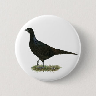 Pheasant Black Hen Button