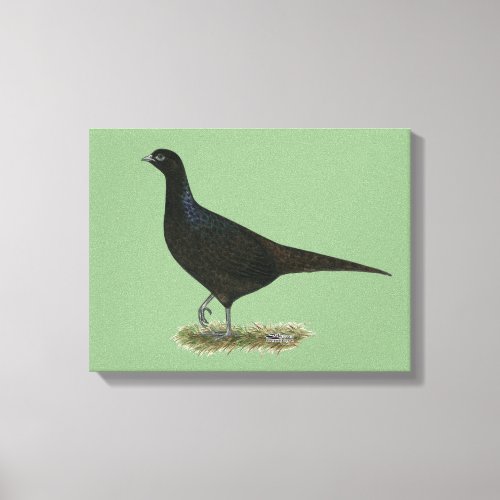 Pheasant Black Hen Canvas Print